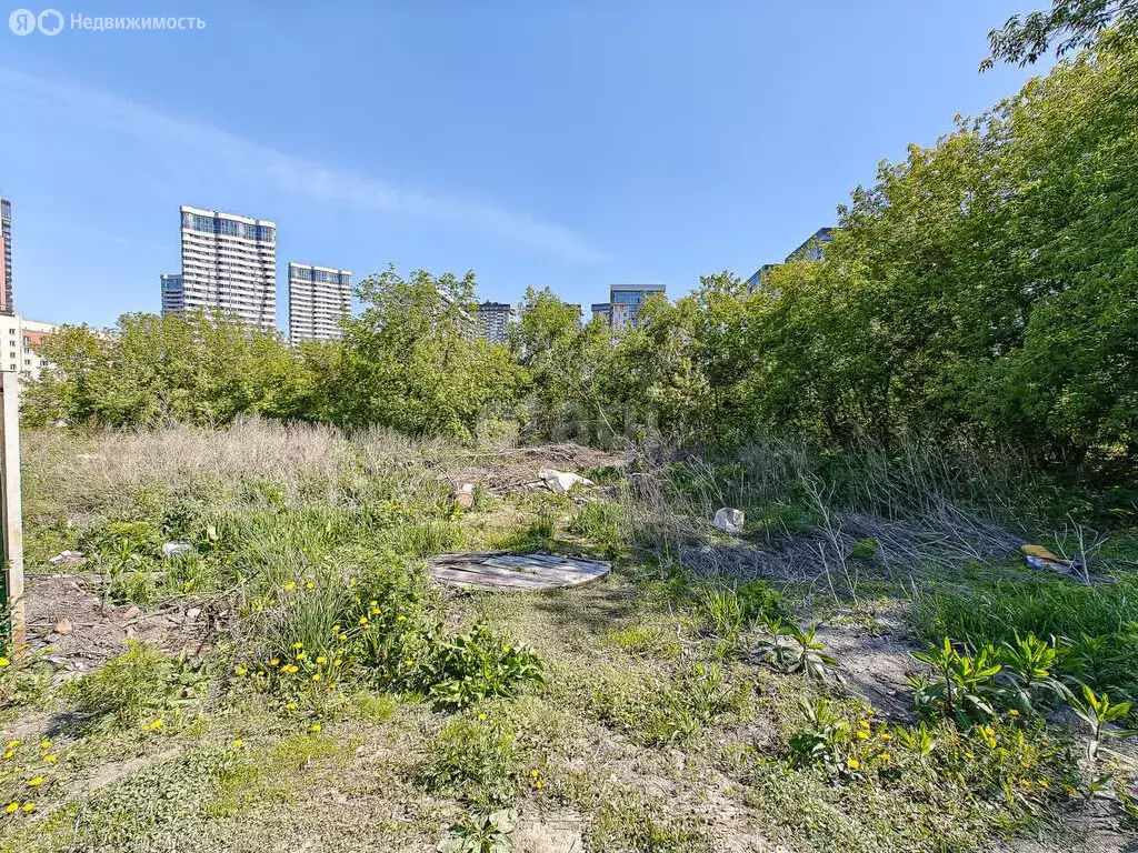 Участок в Новосибирск, улица Лескова (5.31 м) - Фото 1