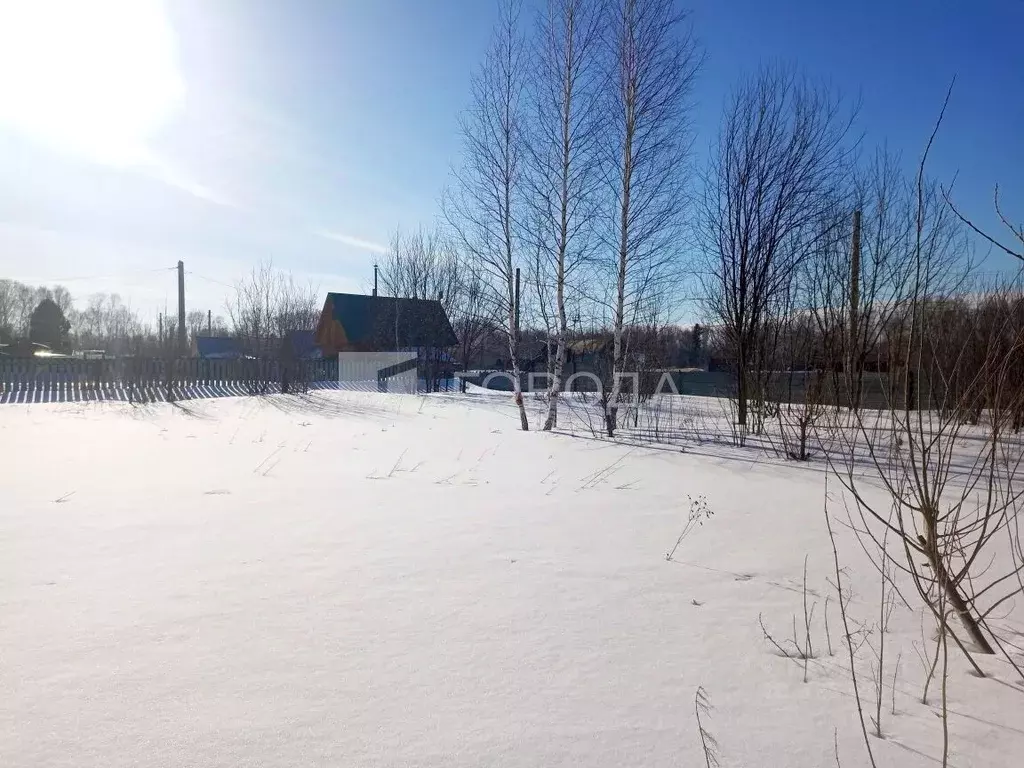 Участок в Новосибирская область, Новосибирский район, Барышевский ... - Фото 1