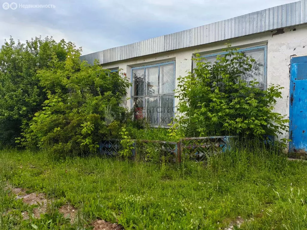 Помещение свободного назначения (272.7 м) - Фото 2