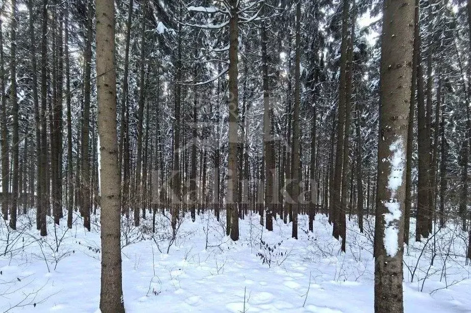 Участок в Московская область, Одинцовский городской округ, д. ... - Фото 1