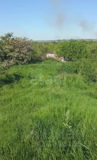 Участок в Саратовская область, Саратов Елшанка мкр,  (15.69 сот.) - Фото 1