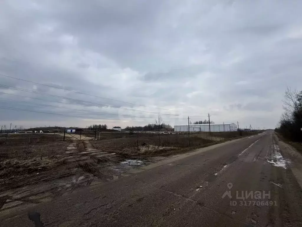 Помещение свободного назначения в Московская область, Серебряные Пруды ... - Фото 1