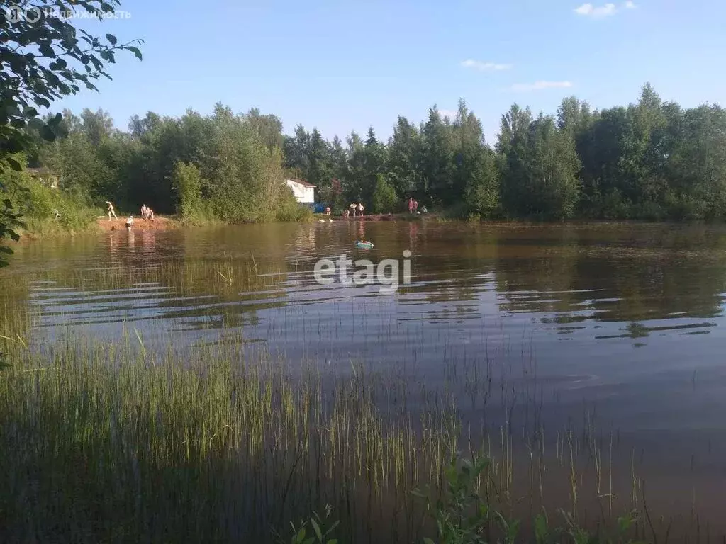 участок в мшинское сельское поселение, садоводческий массив дивенская, . - Фото 0