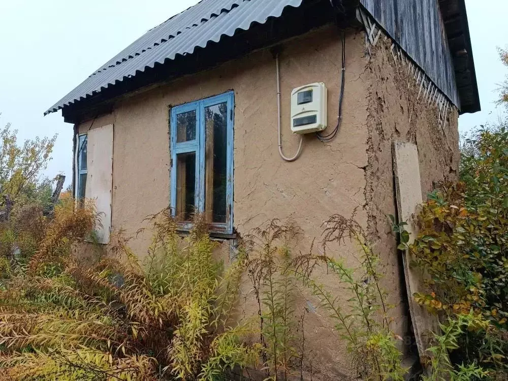 Участок в Воронежская область, Воронеж Лесовод-2 СНТ, ул. Сосновая, 18 ... - Фото 2