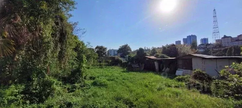 Участок в Краснодарский край, Сочи ул. Шевцовой, 1 (7.7 сот.) - Фото 1