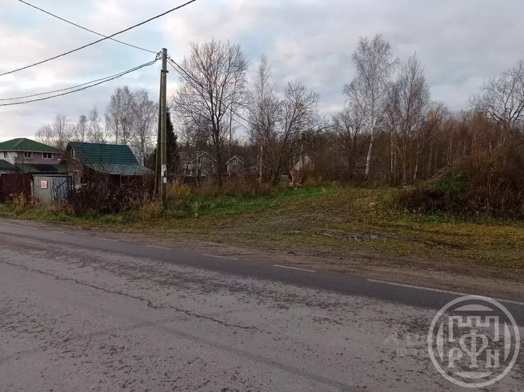Участок в Ленинградская область, Приозерский район, Ромашкинское ... - Фото 2