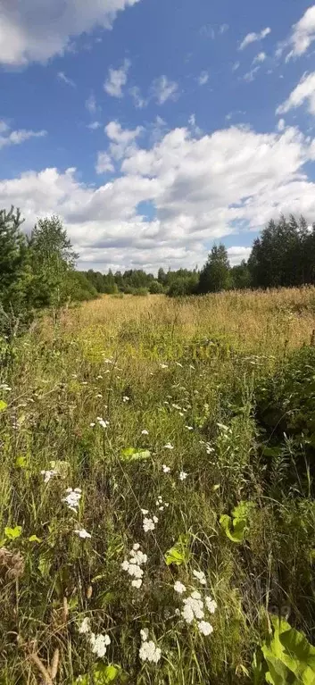 Участок в Свердловская область, Дегтярск ул. Дзержинского (11.0 сот.) - Фото 1
