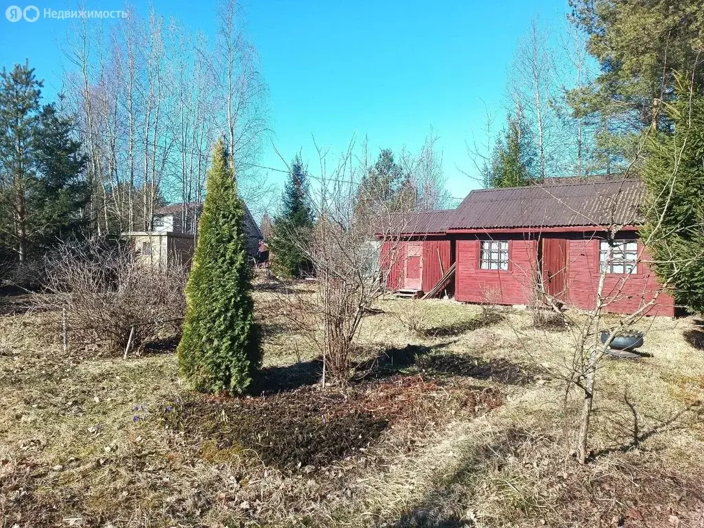 Дом в Выборгский район, Рощинское городское поселение, территория ... - Фото 1