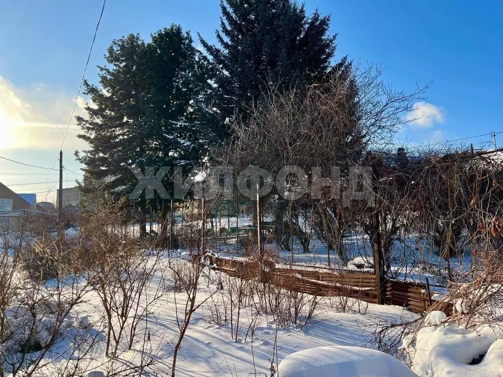 Дом в Иркутская область, Иркутск Имени Мичурина ДНП, 50 (50 м) - Фото 1