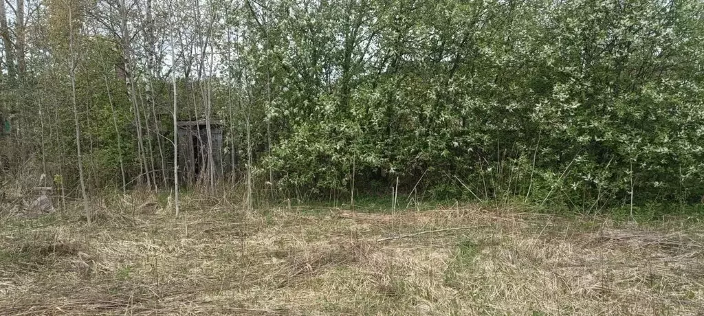 Участок в Владимирская область, Владимир Колос садовое товарищество, ... - Фото 1