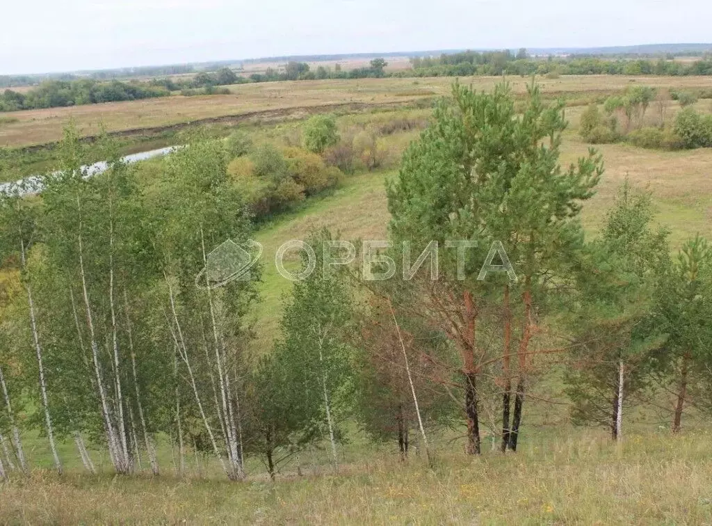 Участок в Тюменская область, Тюменский район, д. Марай  (7.7 сот.) - Фото 1