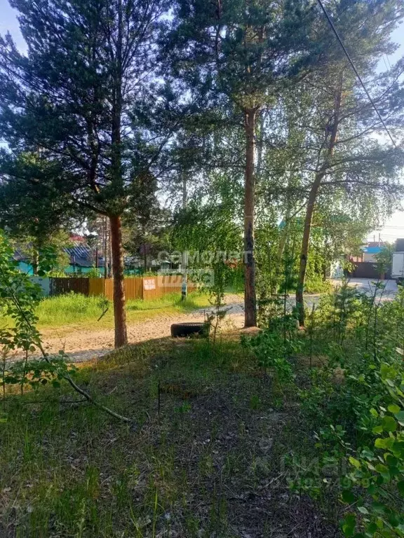 Участок в Ханты-Мансийский АО, Сургут пос. Таежный, ул. Пилотов (9.19 ... - Фото 1