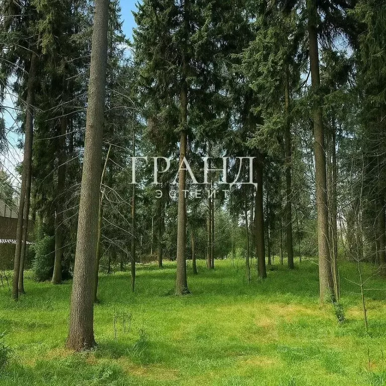 Участок в Москва Новомосковский ао, д. Бараново, ул. Кедровая, 31 ... - Фото 1