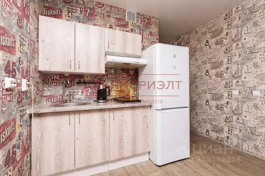Студия Новосибирская область, Новосибирск ул. Забалуева, 90 (22.7 м) - Фото 1