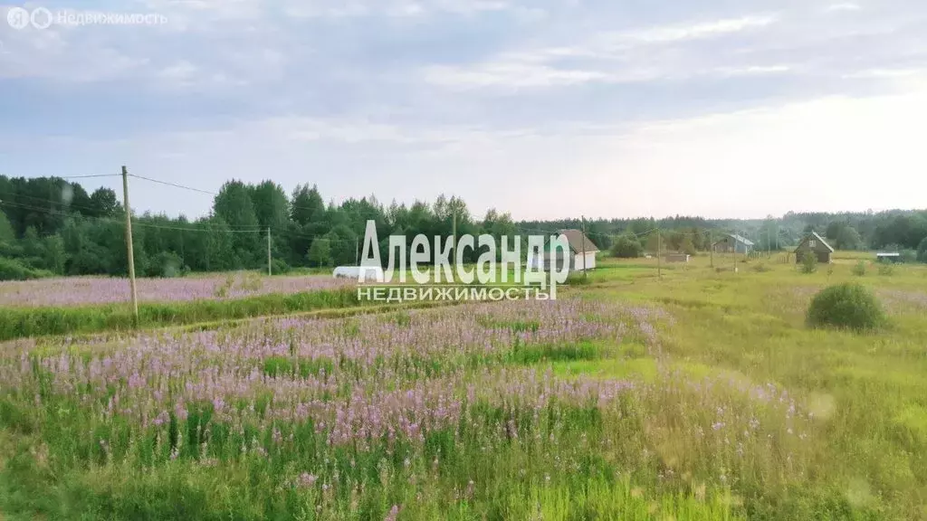 Дом в Потанинское сельское поселение, деревня Весь (83.6 м) - Фото 1