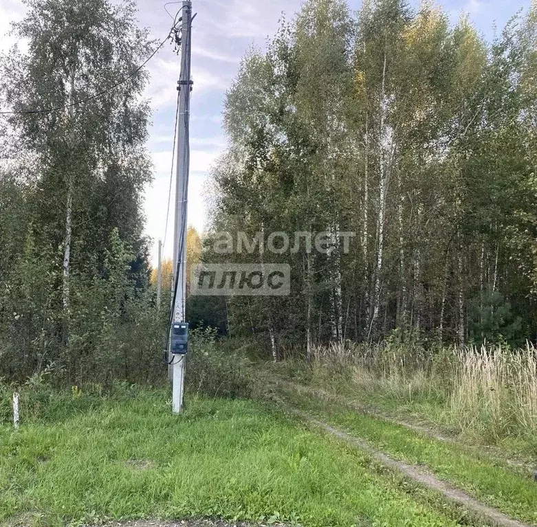 Участок в Ивановская область, Шуйский район, Остаповское с/пос, д. ... - Фото 2