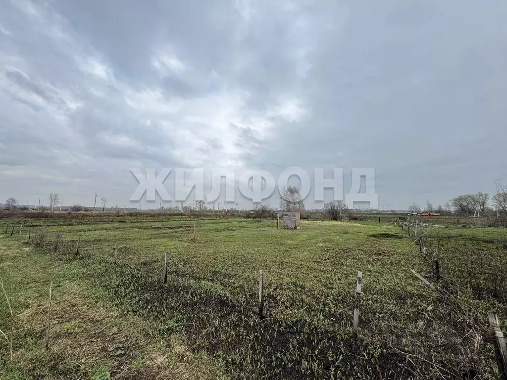 Участок в Новосибирская область, Новосибирский район, с. Криводановка ... - Фото 0