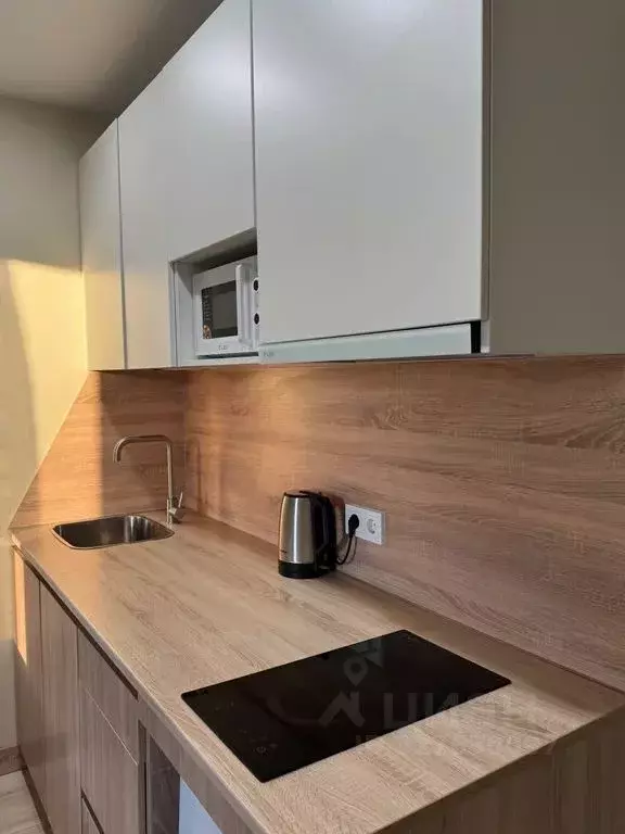 1-к кв. Санкт-Петербург ул. Матроса Железняка, 2 (18.0 м) - Фото 2