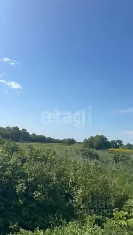 Участок в Сахалинская область, Анивский городской округ, с. ... - Фото 1