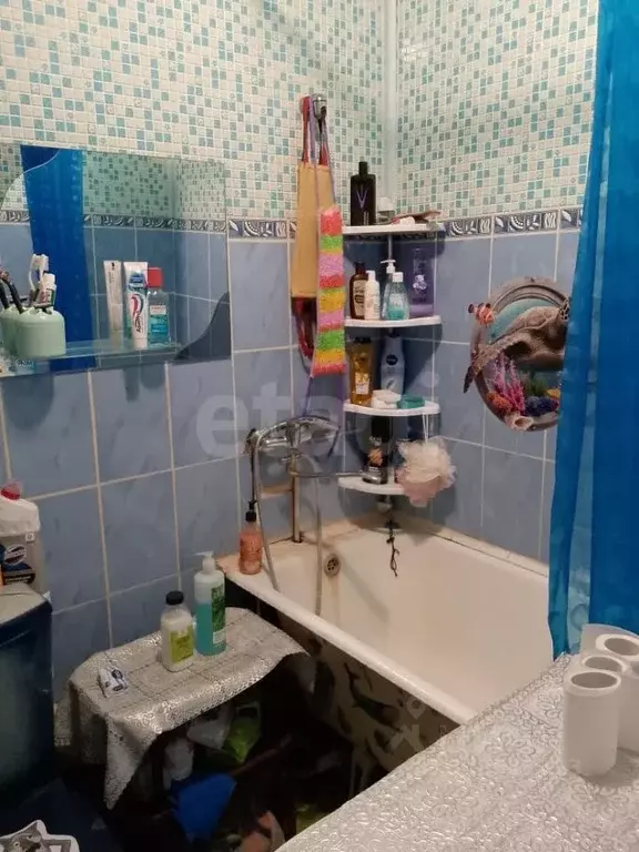 Комната Новосибирская область, Бердск Спортивная ул., 1 (34.0 м) - Фото 2