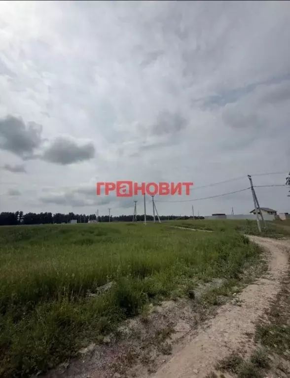 Участок в Новосибирская область, Новосибирский район, Морской ... - Фото 2