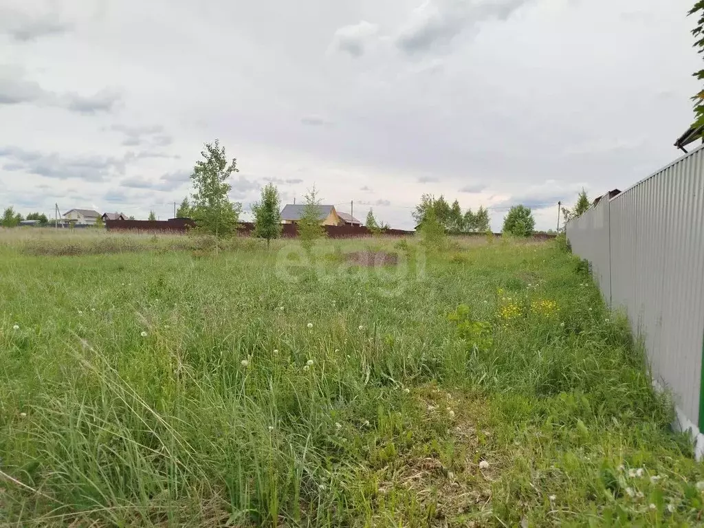 Участок в Владимирская область, Петушинское муниципальное образование, ... - Фото 2