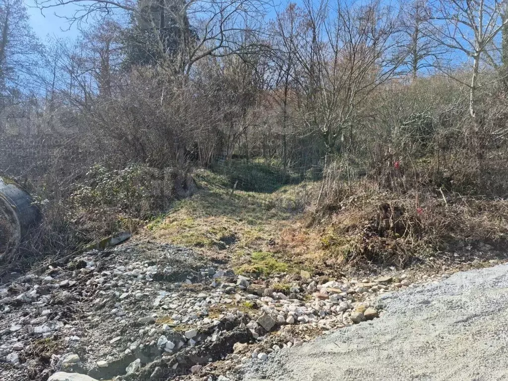 Участок в Краснодарский край, Сочи городской округ, с. Верховское ул. ... - Фото 2