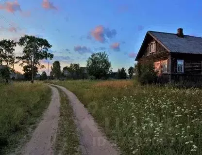 Участок в Смоленская область, Смоленский район, с. Каспля-2 Школьная ... - Фото 0