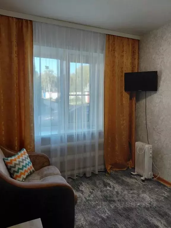 1-к кв. Нижегородская область, Княгинино ул. Люкина, 90 (20.0 м) - Фото 0