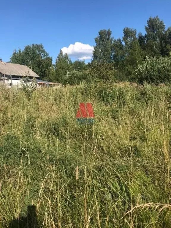 Участок в Ярославская область, Гаврилов-Ямский район, Шопшинское ... - Фото 1