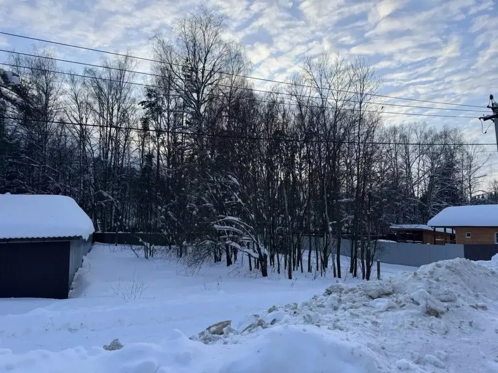 Участок в Московская область, Пушкинский городской округ, ... - Фото 1
