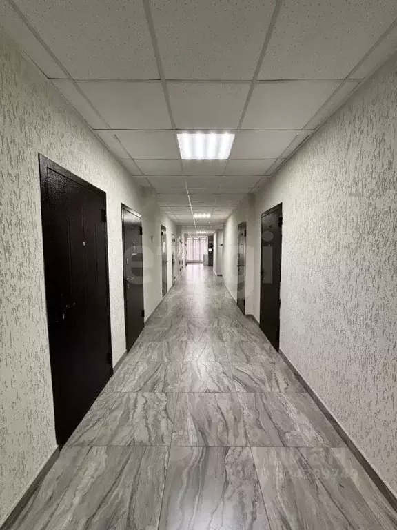 Помещение свободного назначения в Татарстан, Казань просп. Ямашева, ... - Фото 1