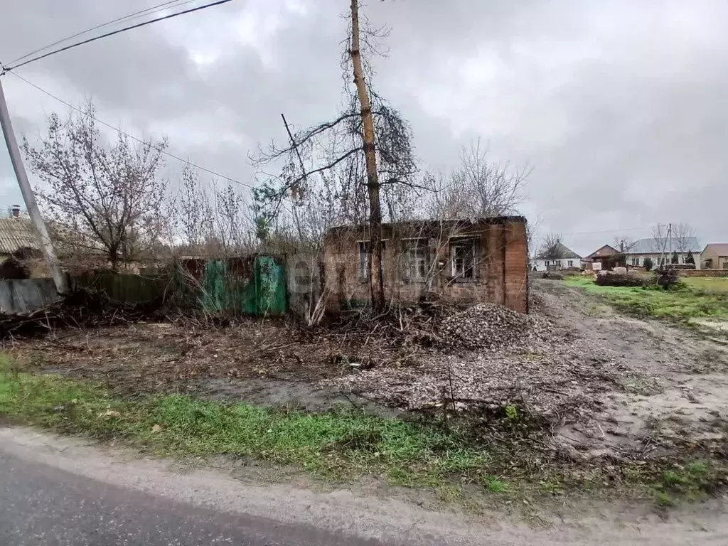 Дом в Белгородская область, Валуйский муниципальный округ, с. Новая ... - Фото 2