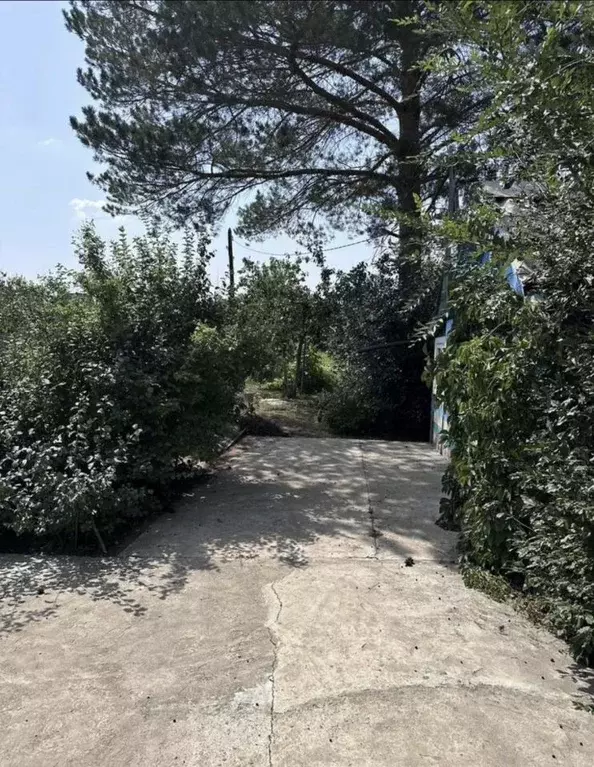 Дом в Оренбургская область, Оренбург Дубки СНТ, ул. Водопроводная (25 ... - Фото 2