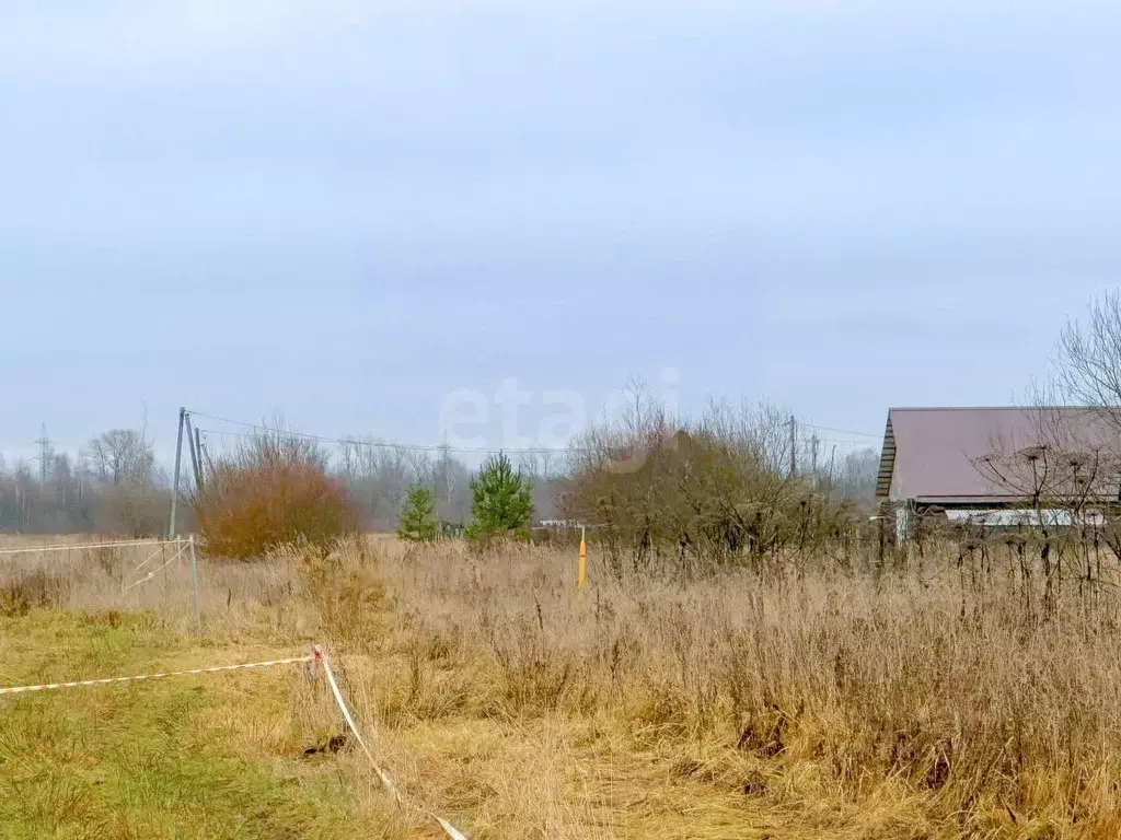 Участок в Ярославская область, Ярославский муниципальный округ, с. ... - Фото 1