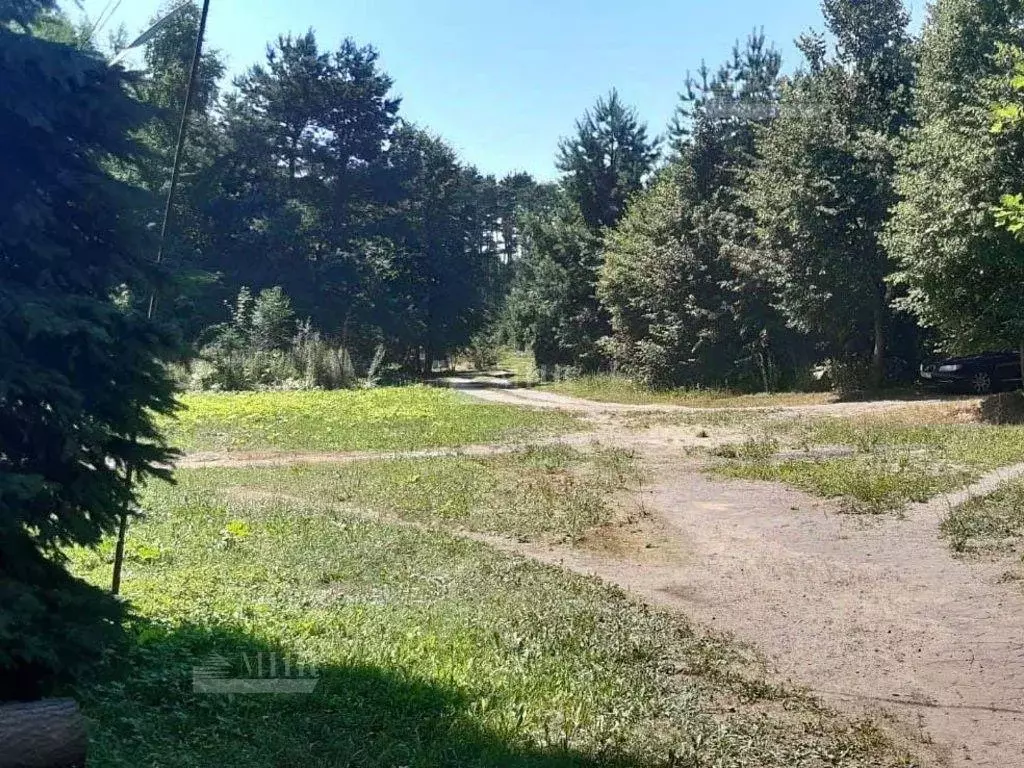 Участок, 170 сот., фермерское хоз-во - Фото 1