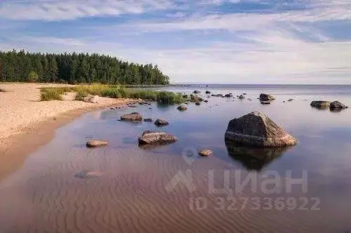 Дом в Ленинградская область, Волховский район, Потанинское с/пос, д. ... - Фото 2