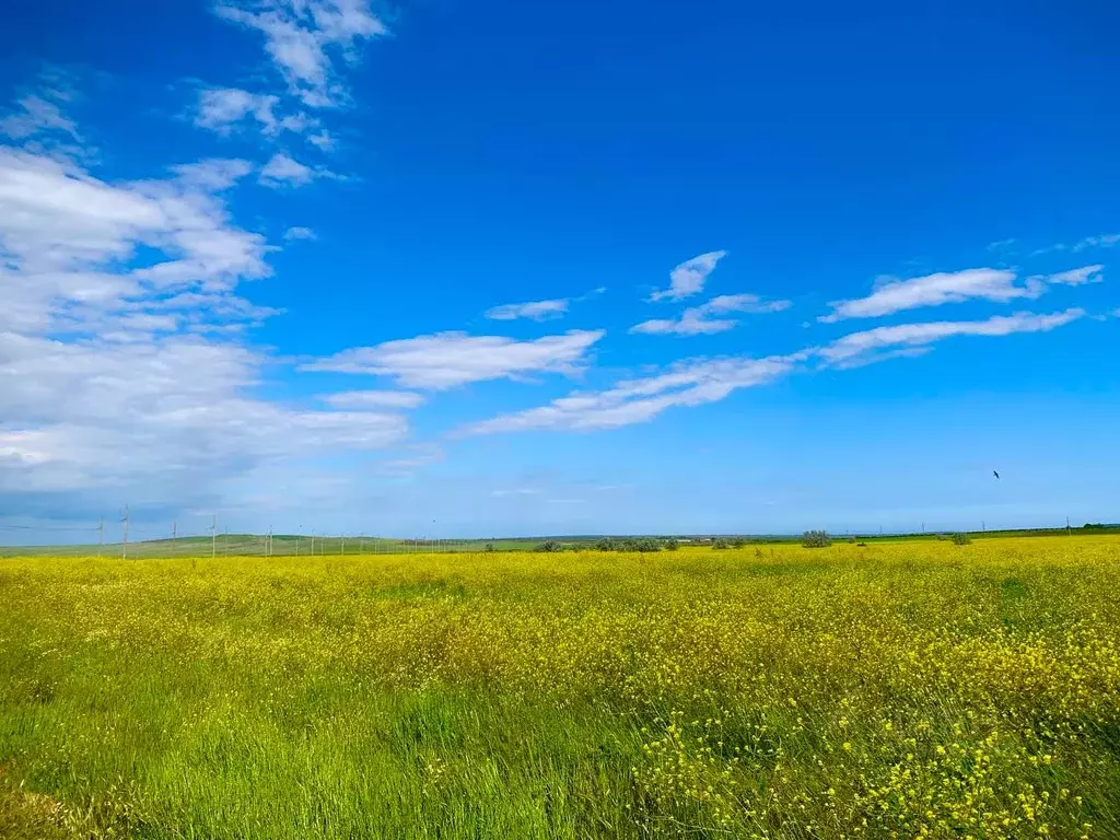 Участок в Краснодарский край, Анапа  (5.0 сот.) - Фото 1