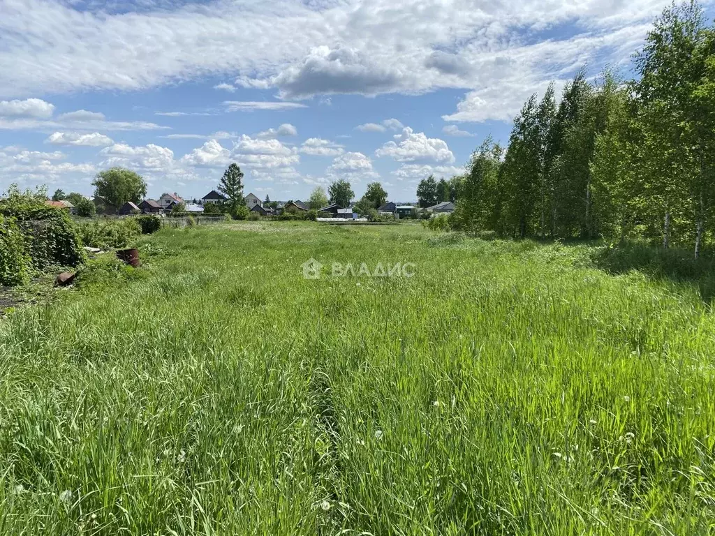 Участок в Пензенская область, с. Бессоновка ул. Бакунина, 8 (25.0 ... - Фото 0