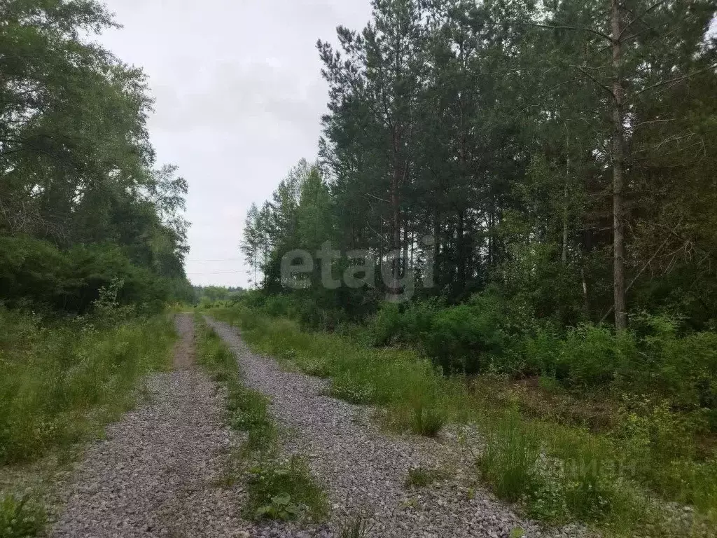 Участок в Свердловская область, Талица  (12.0 сот.) - Фото 1