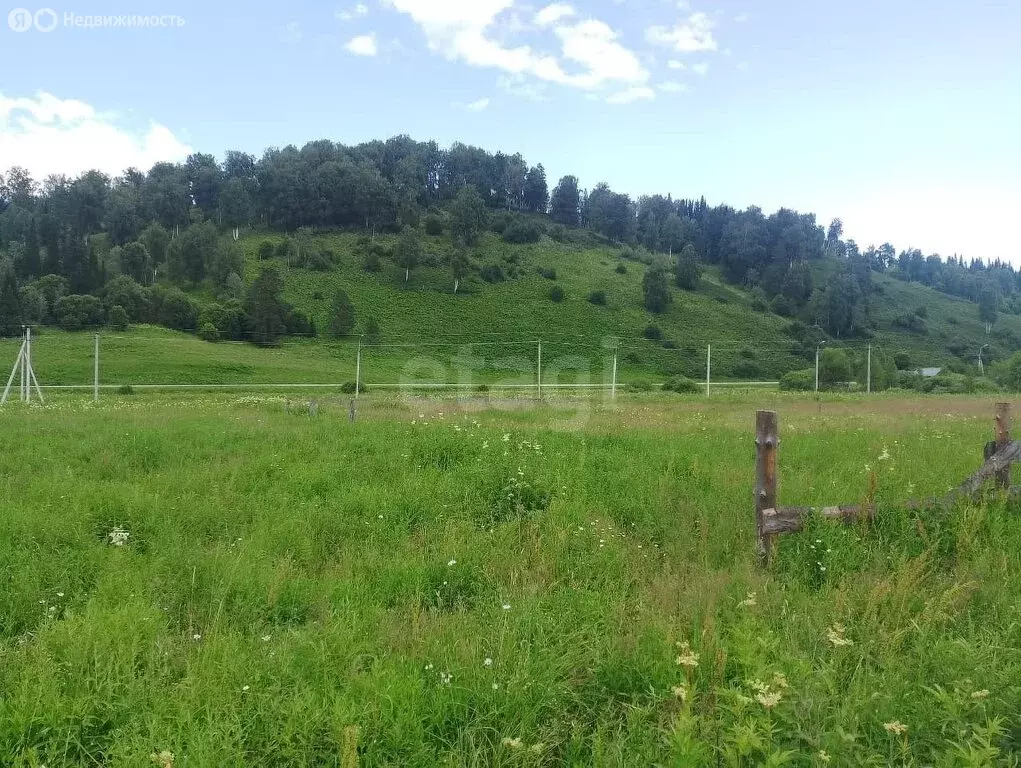 Участок в Паспаул, Лесная улица (20 м) - Фото 1