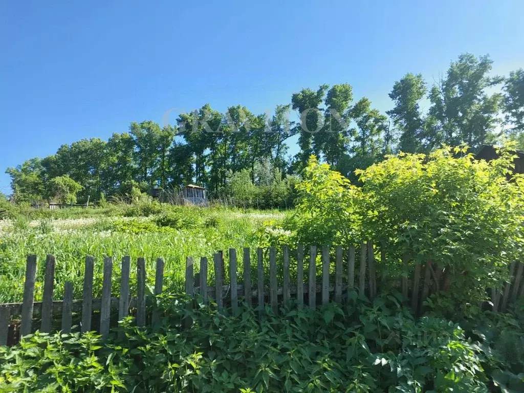 Участок в Алтай, Горно-Алтайск пер. Лисавенко (10.0 сот.) - Фото 1