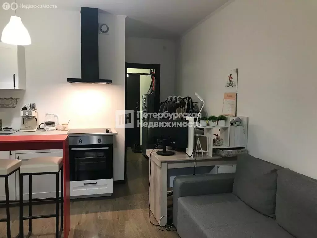 Квартира-студия: Санкт-Петербург, проспект Ветеранов, 169к1 (24.2 м) - Фото 2