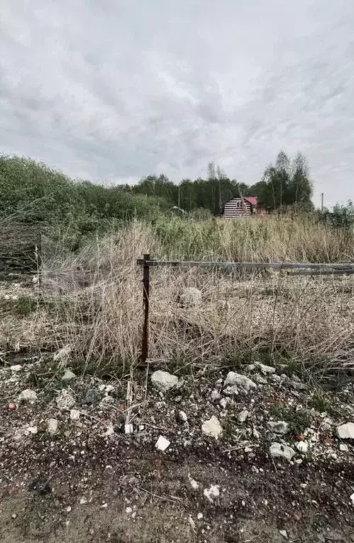 Участок в Тюменская область, Нижнетавдинский район, Мечта ДНТ ул. 6-я ... - Фото 0