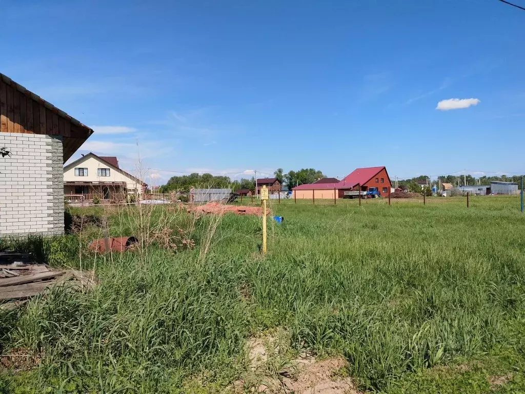Участок в Алтайский край, Первомайский район, с. Санниково ул. ... - Фото 2