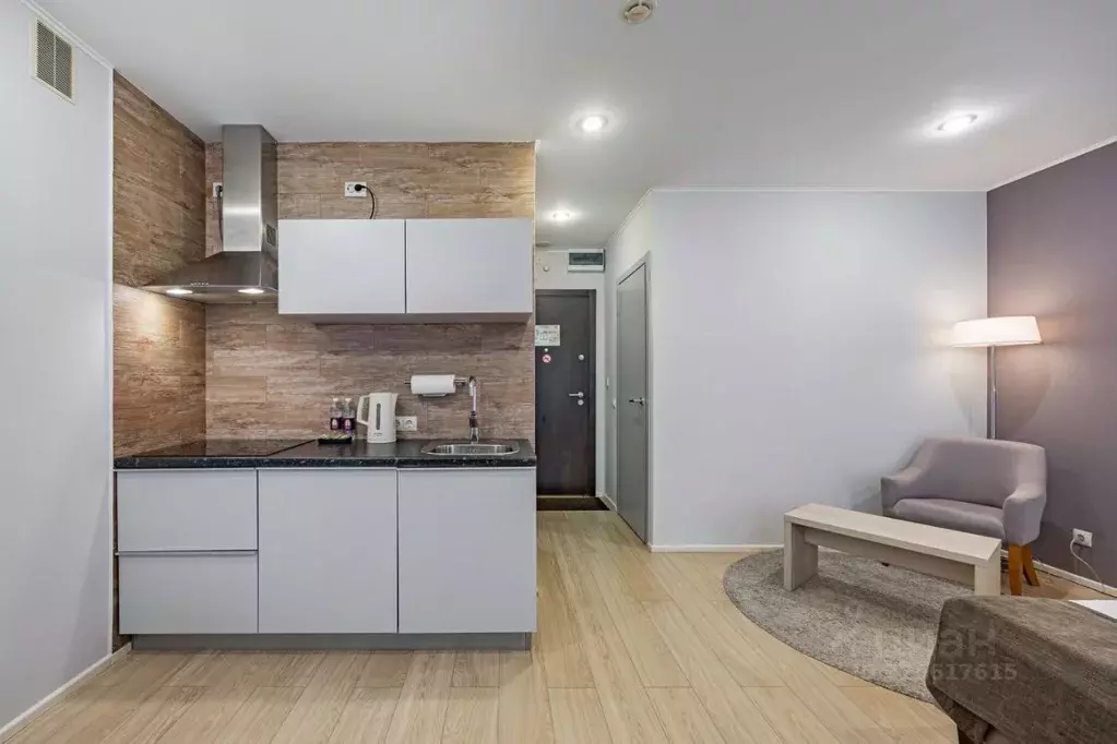 Студия Санкт-Петербург ул. Академика Павлова, 7 (26.5 м) - Фото 1