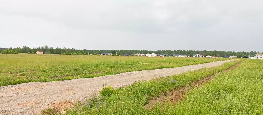 Участок в Новгородская область, Новгородский район, Савинское с/пос, ... - Фото 1