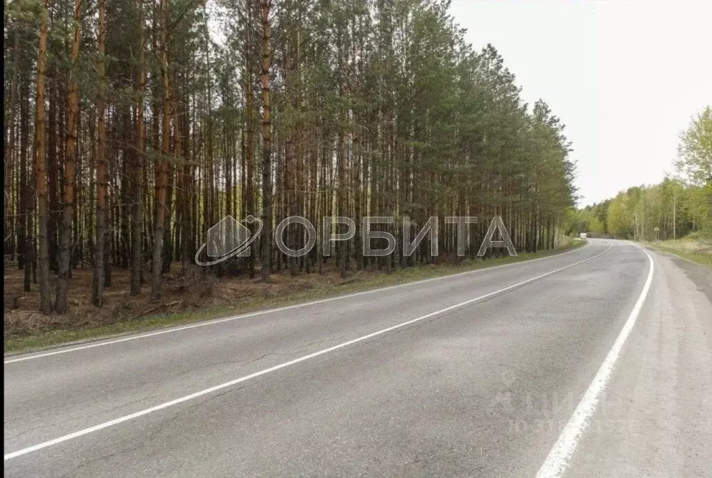 Участок в Тюменская область, Тюменский район, д. Речкина  (76.6 сот.) - Фото 0