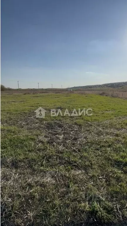 Участок в Воронежская область, Семилукский район, с. Девица ул. ... - Фото 1