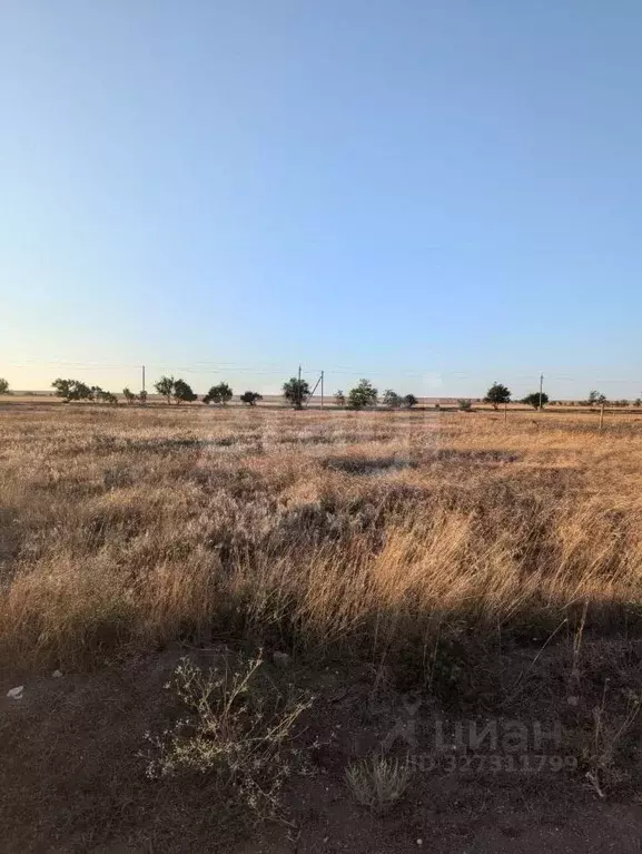 Участок в Крым, Черноморский район, Оленевское с/пос, с. Оленевка  ... - Фото 1